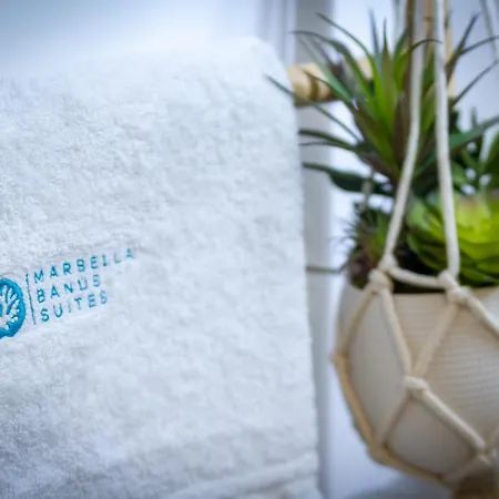 Banus - Lis - Banus - Spectacular 1br - 1ba - Stylishly Redecorated - Super Bright - 3 Outdoor Terraces - Outdoor Dining & Lounge Areas - Pool - Perfect For Couples